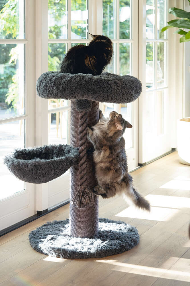 beeztees Kratzbaum Ramiro